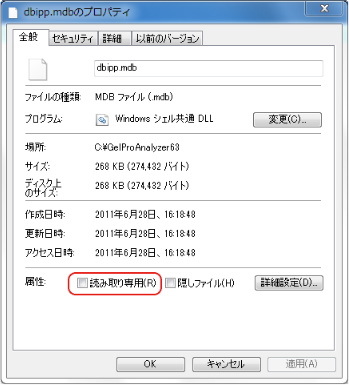 dbipp.mdb Properties